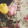 Sara Brands - @sara.brands - TikTok