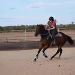 Sarah Brands - Facebook