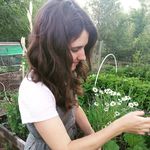 Sara Branham - @sdbflower - Instagram