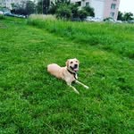 🤙sara_bratt🤙 - @sara_we_brat - Instagram