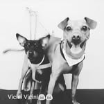 Sara Brattoli - @sarabrattoli78 - Instagram