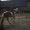 Sara Bray - @equestrian_betty_167k - TikTok