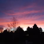 Sarah Breakfield - @break4five - Instagram