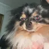 Sara_bridge - @sara_bridge - TikTok
