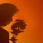 Sarah Bridgers - @sarahebridgers - Instagram
