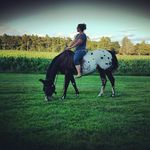 Sara Brill - @ebulldog413 - Instagram