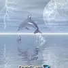 Sara Brill - @sara.brill7 - TikTok