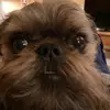 Sara - @sara_brinkman - TikTok
