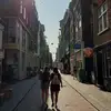 sarahbrinkmann785 - @sarahbrinkmann785 - TikTok