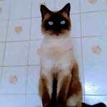 Sara Brizzi - @brizzi277 - Instagram