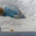 Sara Brockman - Facebook