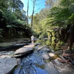 Sara Brockman - @sarabrockman12 - Instagram