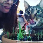 Sarah Brody - @sarahbrody420 - Instagram
