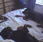 Sara Brook - Facebook