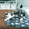 Sarah I-Brümmer - @bountytoffy - TikTok
