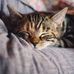 Sarah Buxton - Facebook