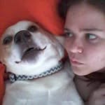 Sara Cagle - @shdwctrogue - Instagram