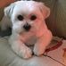 Sara Cagle - Facebook