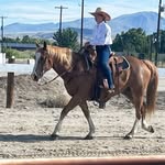 Sara Cannon - @saracannon610 - Instagram