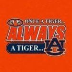 Sara Wingo Capps - @alabamaredneckbrat - Instagram