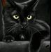 Sara Caputo - Facebook