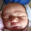 raspberrymakesthree - @saracarney - TikTok
