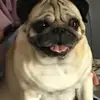 Sara Carr - @sara.carr52 - TikTok