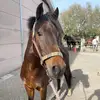 casper_sara.zx - @casper_sara.zx - TikTok