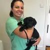 Casper the friendly Labrador - @sara_casper - TikTok