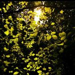 Sarah Catlin Shadbolt - @journey_withstillness - Instagram