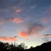 Sarachen_x_2 - @sarachen.2_x - TikTok