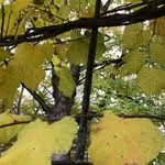 Sara Cobb - @narrativepracticeforchange - Instagram