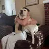 sara - @saraaconnellyy - TikTok