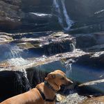 Sara Cottingham Cotton - @scotton4 - Instagram