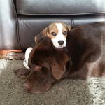 Sarah Couchman Ne Taylor - @sarah_couchman123 - Instagram