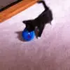 Sarah Crain - @sarah.crain3 - TikTok