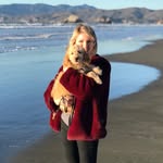Sara Creef - @saracreef - Instagram