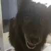 saracreech24 - @saracreech24 - TikTok