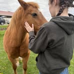 Sarah Crowder - Facebook