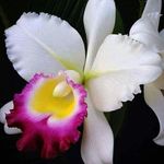 Sara Crowell Weil - @saracrowellweil - Instagram