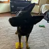 sara - @saradanielson78 - TikTok