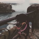 Sara Davison - @sar_bear500 - Instagram