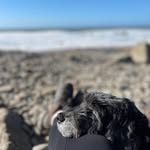 Sarah Deacon - @sarah_deacon - Instagram