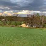 Sarah Deacon - @dragonflyhollow2.0 - Instagram