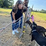 Sara Deaver - @sara_deaver - Instagram