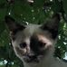Sarah Deaver - Facebook