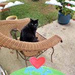 Sara DeHerrera - Facebook