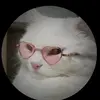 SARA DENIS - @sara.denis63 - TikTok