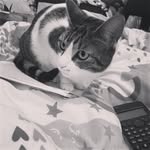 Sarah Denton - @sarah.denton.9028 - Instagram