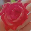 sara derbas - @saraderbass1 - TikTok